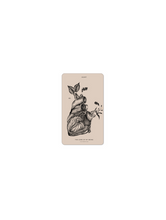 Load image into Gallery viewer, Anatomy of Healing Oracle 2nd Edition