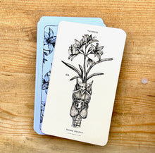 Load image into Gallery viewer, Anatomy of Healing Oracle 2nd Edition