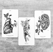 Load image into Gallery viewer, Anatomy of Healing Oracle 2nd Edition