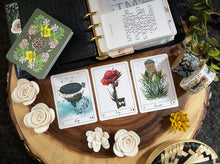 Load image into Gallery viewer, Terra Lenormand
