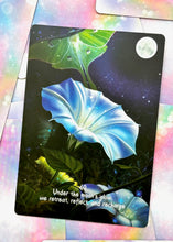 Load image into Gallery viewer, Oracle of Oneness

